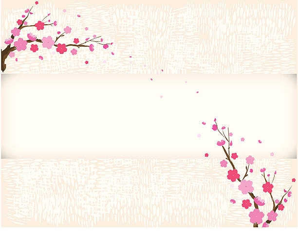 plum tree bloom in spring vector art illustration