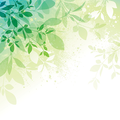 Spring background with transparent leaves and watercolor effect textures EPS10 file contains transparencies.  Additional AI9 file with whole shapes and hi res jpeg included. Scroll down to see similar illustrations below.
