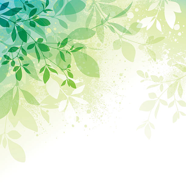 Spring Background Spring background with transparent leaves and watercolor effect textures EPS10 file contains transparencies.  Additional AI9 file with whole shapes and hi res jpeg included. Scroll down to see similar illustrations below. spring stock illustrations