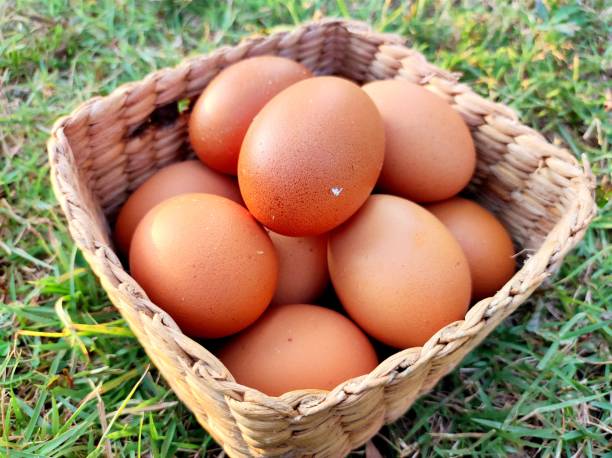 istock Fresh eggs in the basket that was placed on the grass 1658193957