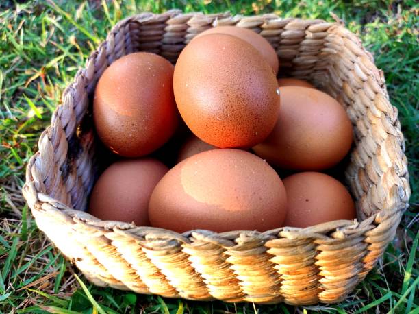 istock Fresh eggs in the basket that was placed on the grass 1658194347