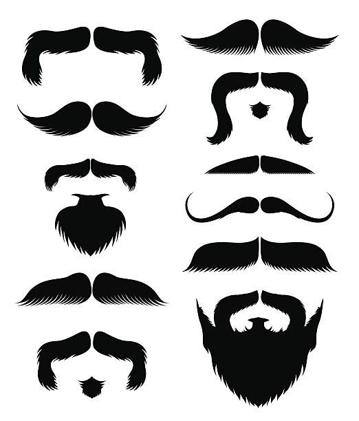 ilustrações, clipart, desenhos animados e ícones de bigode e barbas - men human hair beautiful chin