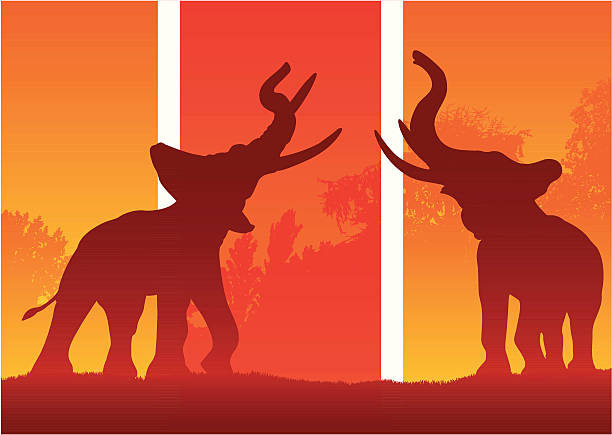 zwei elefanten in silhouette - grass nature dry tall stock-grafiken, -clipart, -cartoons und -symbole