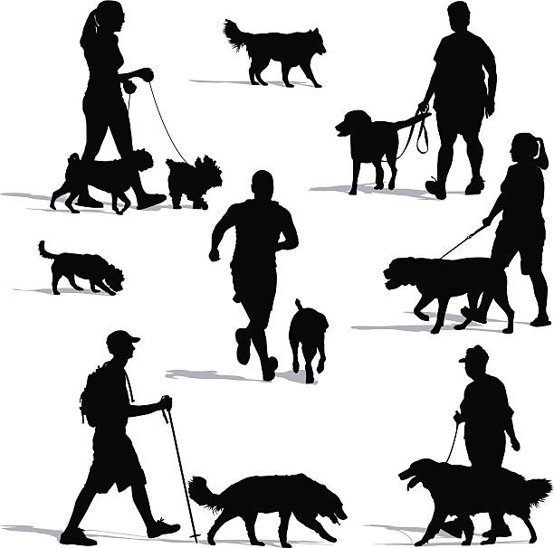 Dog Walkers Vector illustration of people walking their dogs. Includes a man running with his dog.  active lifestyle illustrations stock illustrations