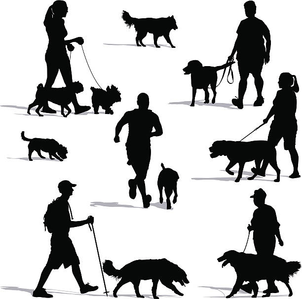 Dog Walkers Vector illustration of people walking their dogs. Includes a man running with his dog. black and white sports silhouette stock illustrations
