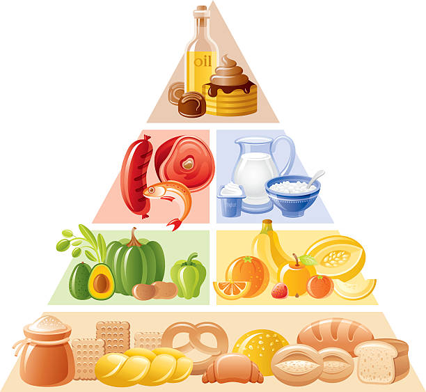 ilustraciones, imágenes clip art, dibujos animados e iconos de stock de pirámide de comida - alimentos y bebidas de dibujos animados