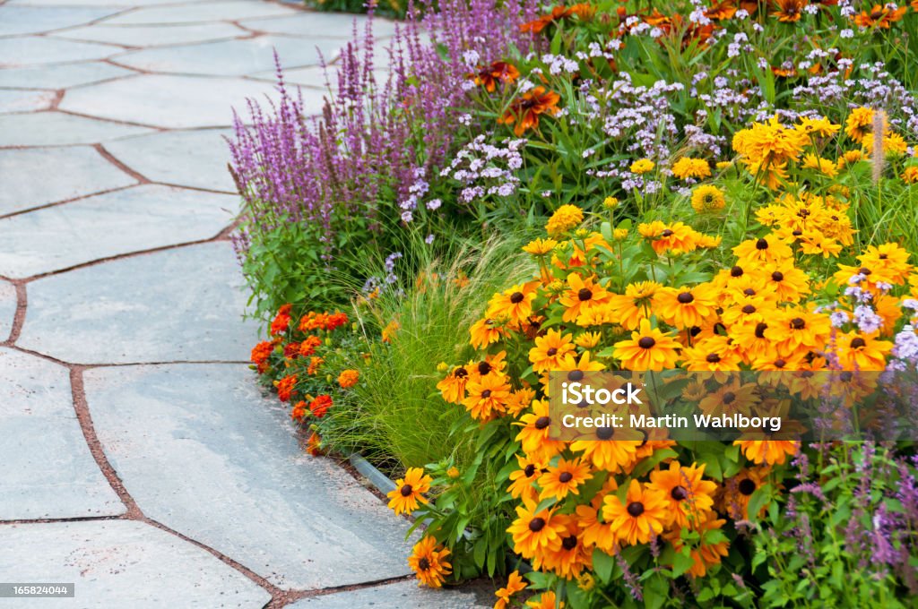 Flowerbed and paving stone slates in summer Flowerbed and slates Marigold Stock Photo