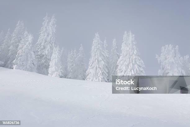Schneesturm In Den Bergen Stockfoto und mehr Bilder von Alpen - Alpen, Baum, Beengt