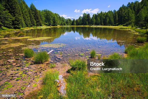 Sommer Im Mountain Lake Stockfoto und mehr Bilder von Alpen - Alpen, Berg, Blau