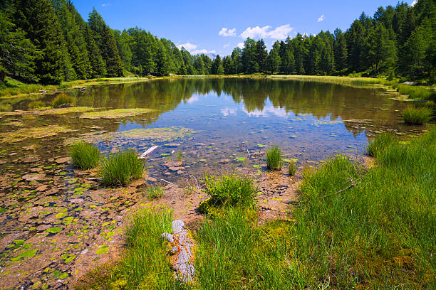 istock Summer at mountain lake 165826752