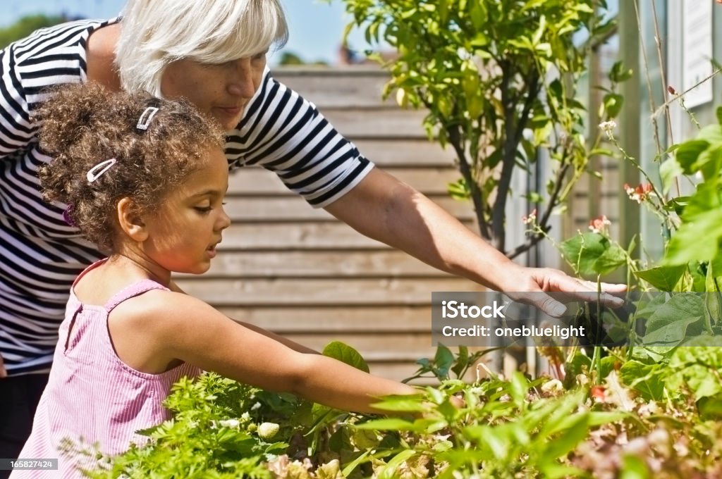 Abuela y Granddaughter jardinería - Foto de stock de 4-5 años libre de derechos