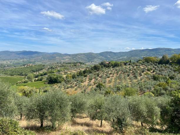 istock Romantic view of Tuscany, winery 1658284598