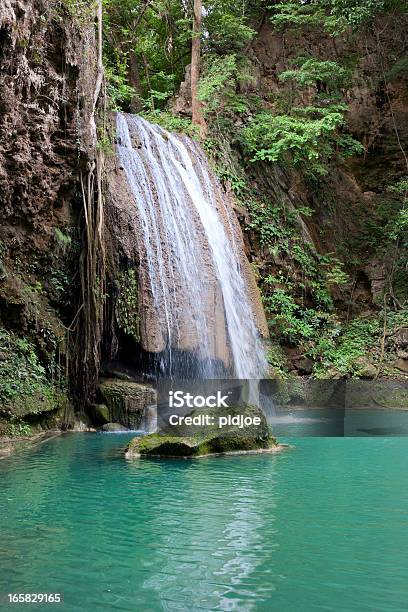 Cascata Nella Foresta Pluviale Tropicale - Fotografie stock e altre immagini di Cascata - Cascata, Clima tropicale, Acqua