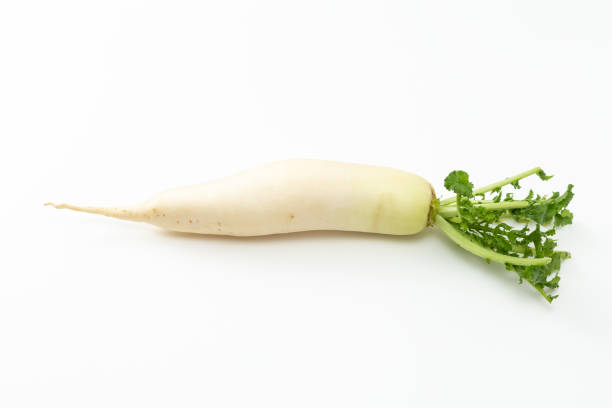 istock Japanese radish on a white background. 1658297591