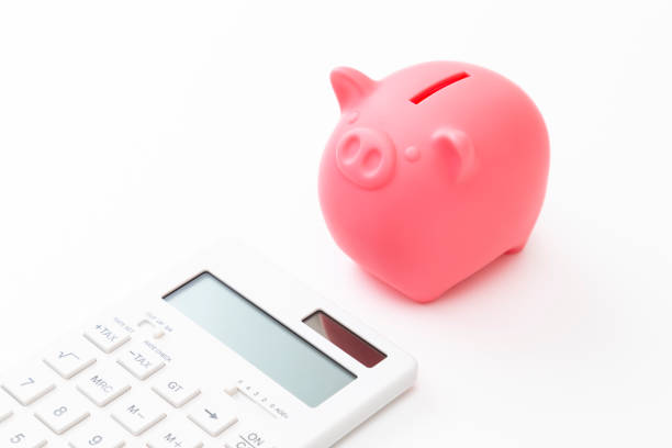 istock Pig piggy bank and calculator on a white background. 1658302302