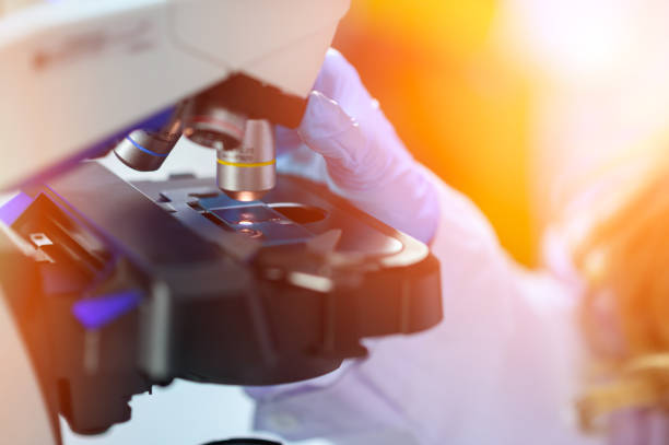 istock The scientist handed in blue gloves looking under a microscope to analyze the test sample. Medical Science Laboratory. 1658303999