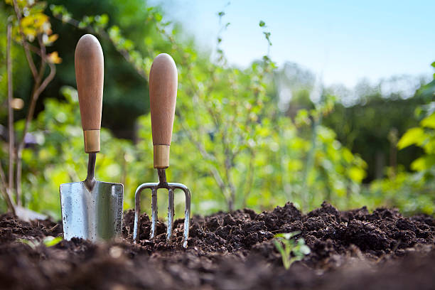 ogrodnictwo ręka kielnia i widelec stojącej w ogrodzie gleby - gardens zdjęcia i obrazy z banku zdjęć