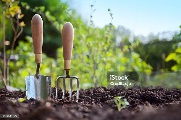 Jardinagem Mão Espátula E Garfo Em Pé No Jardim Solo - Fotografias de stock e mais imagens de Horta