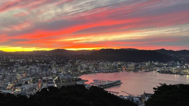 istock Awesome sunset in Wellington 1658367991