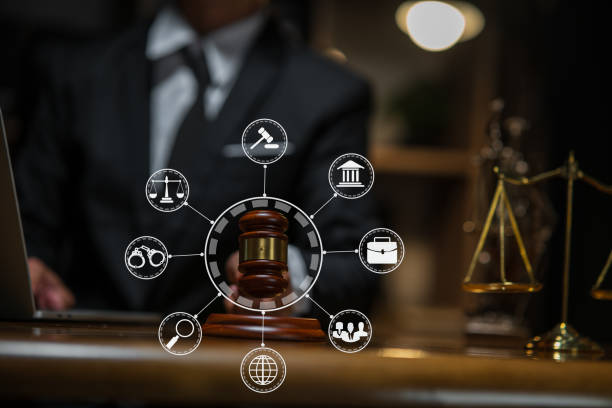 istock Lawyer 1658413851