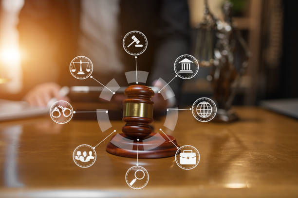 istock Lawyer 1658413860