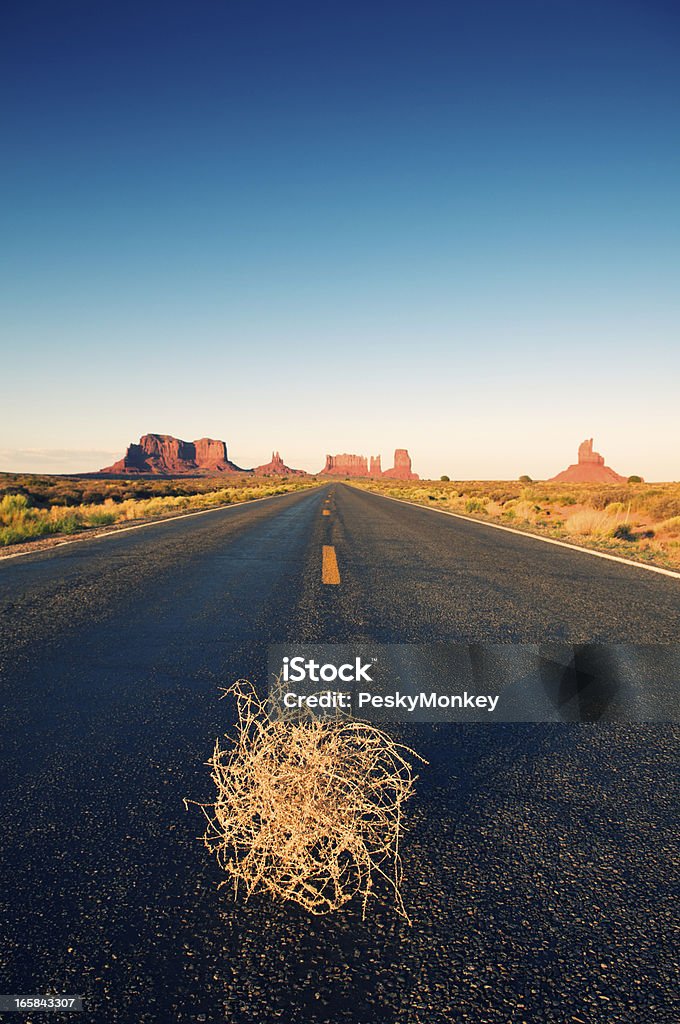 Lone Tumbleweed s'encuentra en la carretera del desierto - Foto de stock de Planta Rodadora libre de derechos