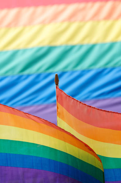 istock Gay Pride Rainbow Flags Wave in Colorful Harmony 165843570