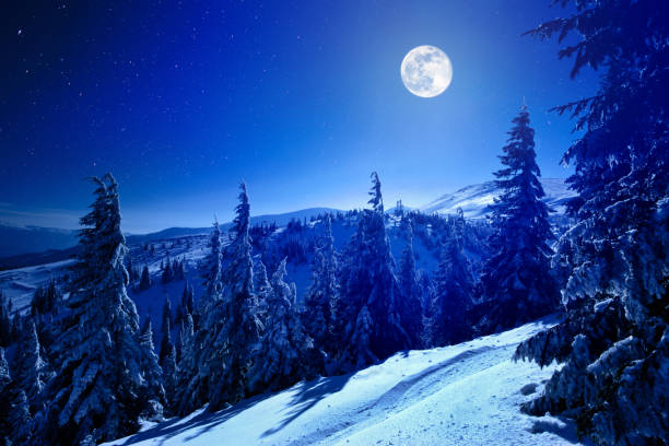 Winter moon Snowy view in Carpathian Mountains, winter landscapes series.  fir tree horizon forest woods stock pictures, royalty-free photos & images