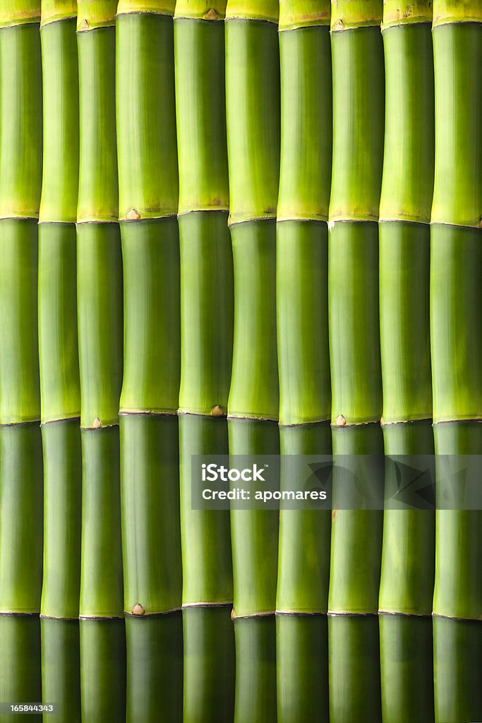 Natural Bamboo Pattern Natural Bamboo Seamless Wall Pattern Stock Photo - Download Image Now ...