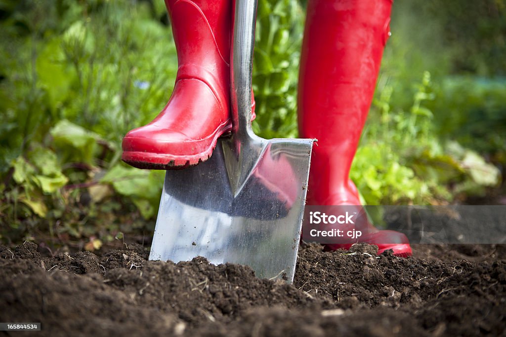 Stivale rosso scavando con forcella giardino - Foto stock royalty-free di Vanga