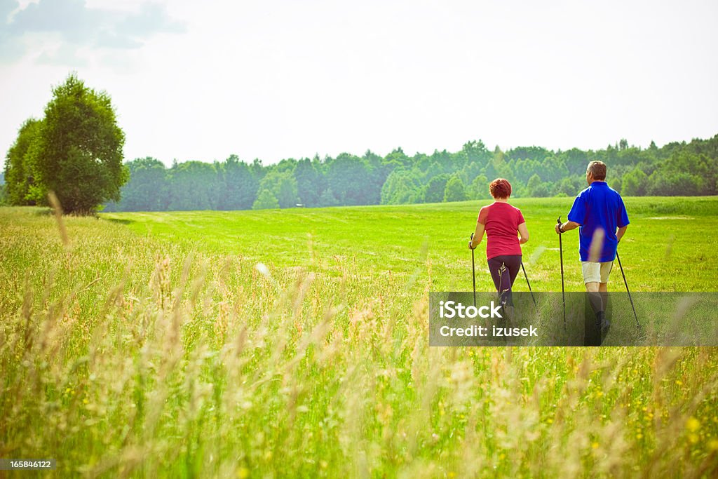 Active seniors Active seniors training nordic walking in a countyside. Back view. Power Walking Stock Photo