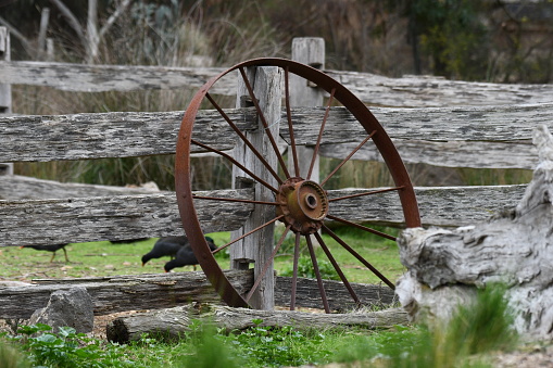 Rusty wagon wheel against old wooden fence.  Rustic scene