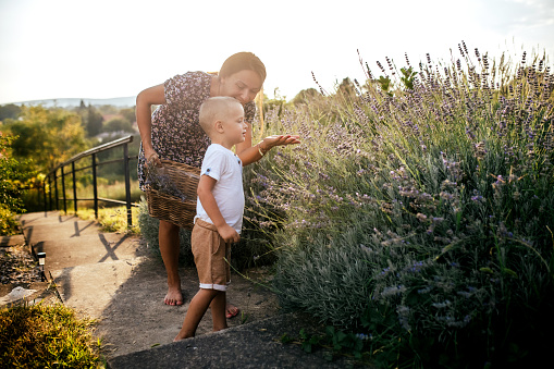 mother and son in lavender fields