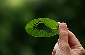 Hand of human is holding green leaf with carbon footprint