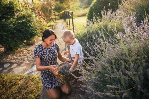 istock mother and son in lavender fields 1658490299