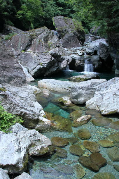 istock Yasui Valley, natural landscape, Summer (Niyodogawa Town, Kochi Prefecture) 1658491305