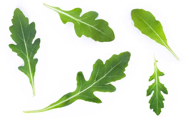 rucola set over white