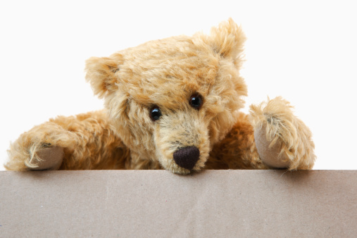 Artist's teddy bear on top of a cardboard box.