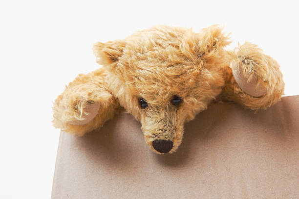 желтый плюшевый медведь на картонная коробка глядя вниз. - vontact стоковые фото и изображ�ения