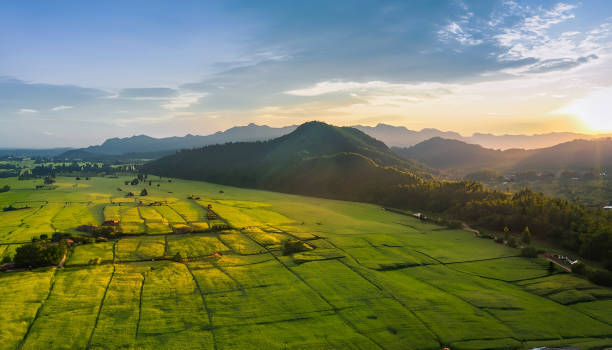 istock Aerial Photography  of Rice Fields 1658552167
