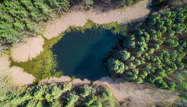 istock Aerial Photography Waterhole 1658552401