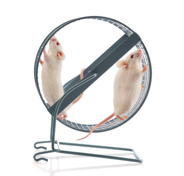istock Lack of Teamwork; The Wheel Stands Still 165855555