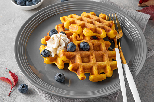 Spiced pumpkin waffles with whipped cream, honey and blueberries on a gray plate on a gray concrete background. Dessert for Thanksgiving Day or Halloween