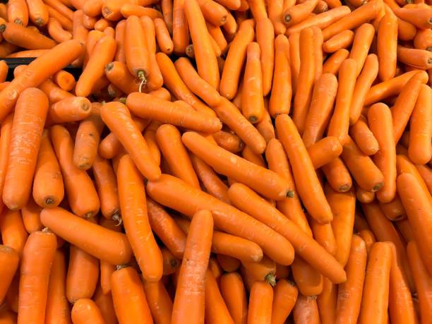 istock Heap of fresh orange carrots. 1658576755