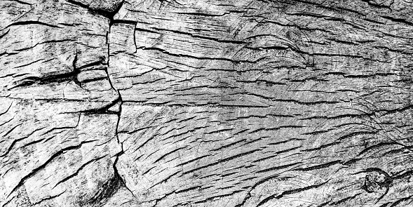 Background: nature's art graphic resource. Driftwood woodgrain in low key black and white.