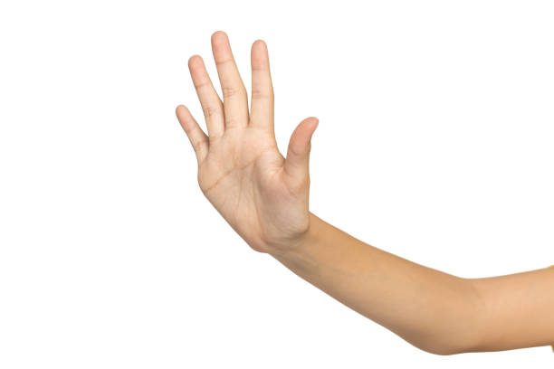 istock Side view of female hand showing stop gesture, isolated on white background, copy space 1658622927
