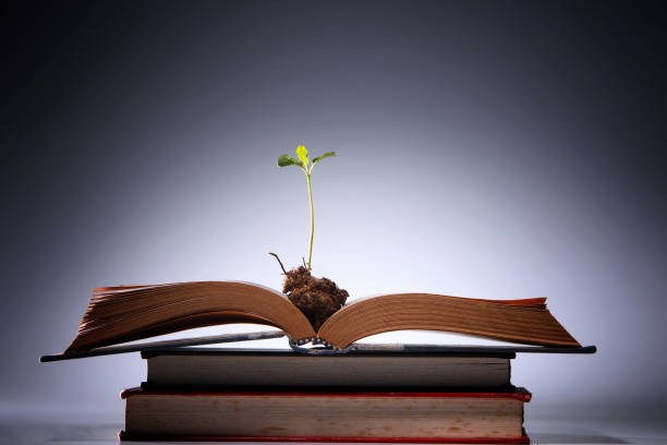 istock young plant growing from the book 1658643612