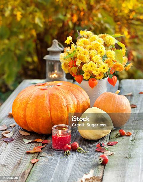Composition With An Autumn Vegetables Stock Photo - Download Image Now - Autumn, Ornamental Garden, Pumpkin