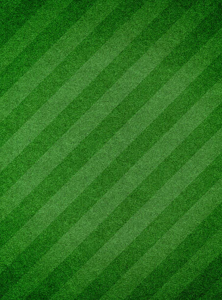 緑草の背景ストライプの織地 - soccer field soccer football field grass ストックフォトと画像