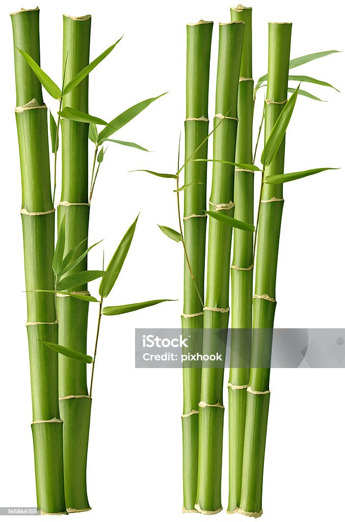 Belleza de bambú - Foto de stock de Bambú - Familia de la Hierba libre de derechos